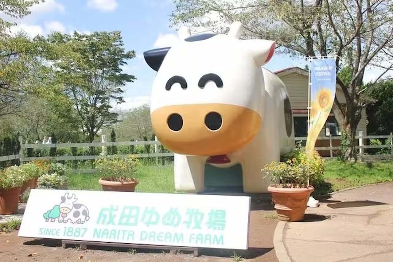 Narita Dream Farm Ticket - image 3