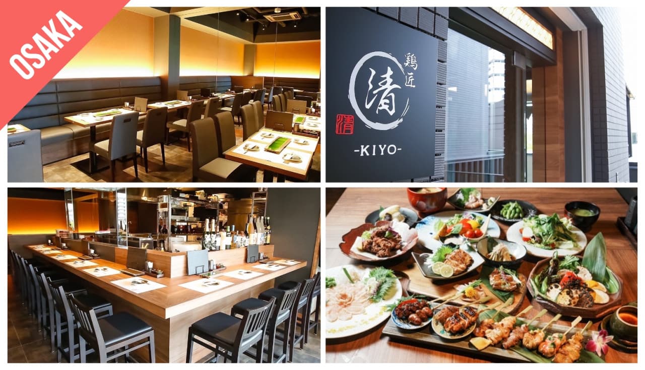 Have Fun in Kansai Pass - 1 Week Free Pass - image 4
